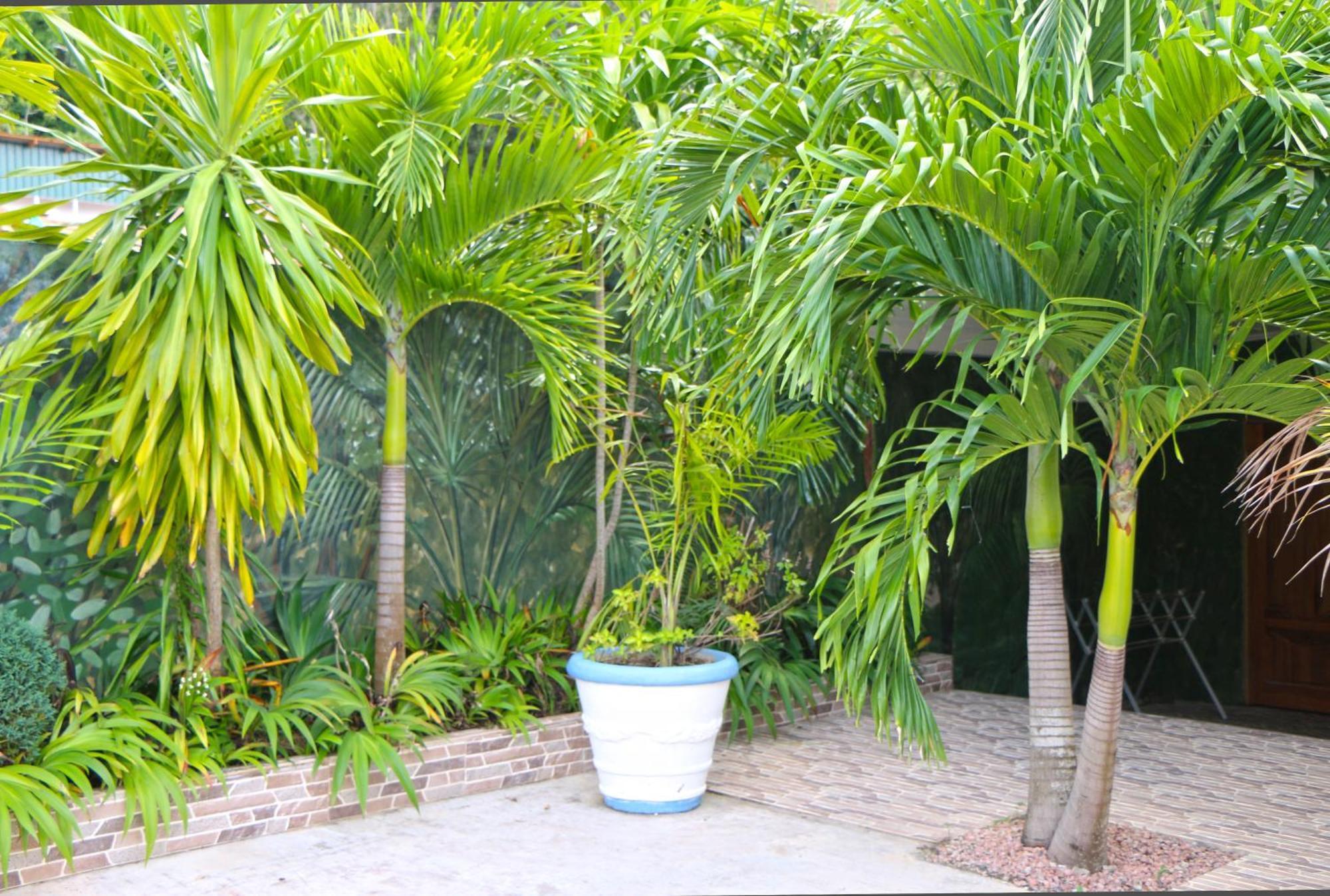 Ocean Blue Bay Apartment Anse Volbert Village Exterior foto