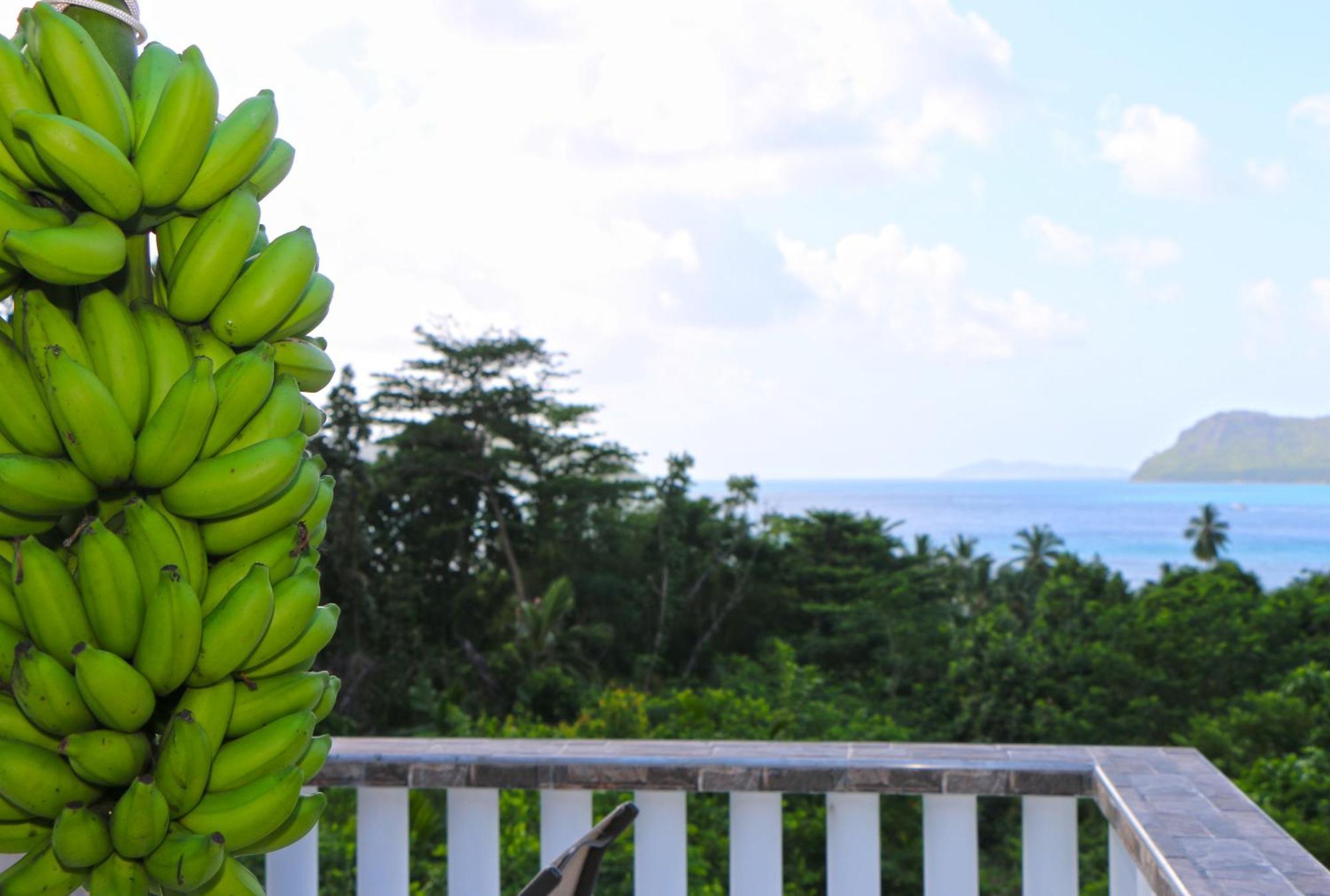 Ocean Blue Bay Apartment Anse Volbert Village Exterior foto