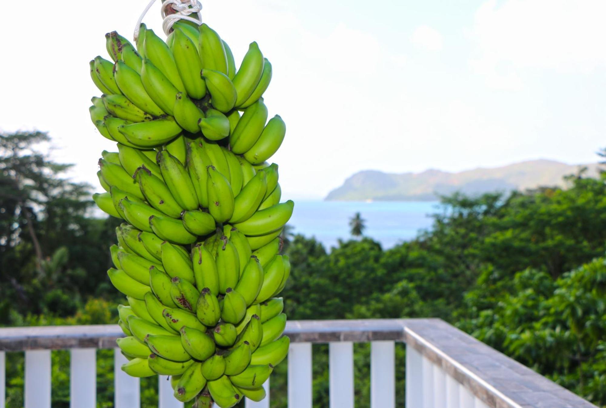 Ocean Blue Bay Apartment Anse Volbert Village Exterior foto