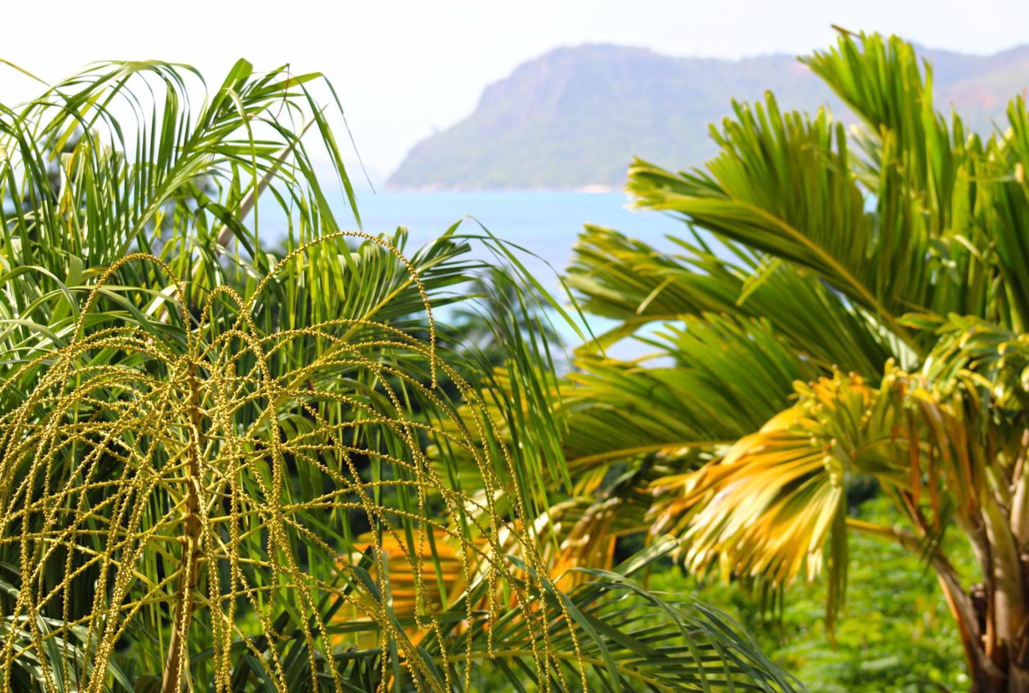 Ocean Blue Bay Apartment Anse Volbert Village Exterior foto